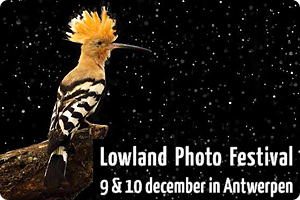 00_Lowland Photo Festival 2017.png