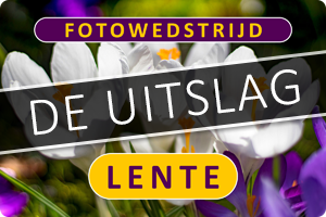 00_fotowedstrijd-lente-uitslag.png