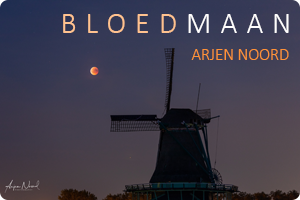 00_bloedmaan-arjen-noord.png