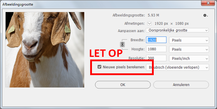 nieuwe-pixels