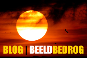 00_beeldbedrog.jpg