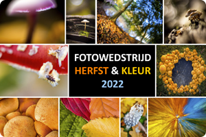 00_Fotowedstrijd herfst 2022.png