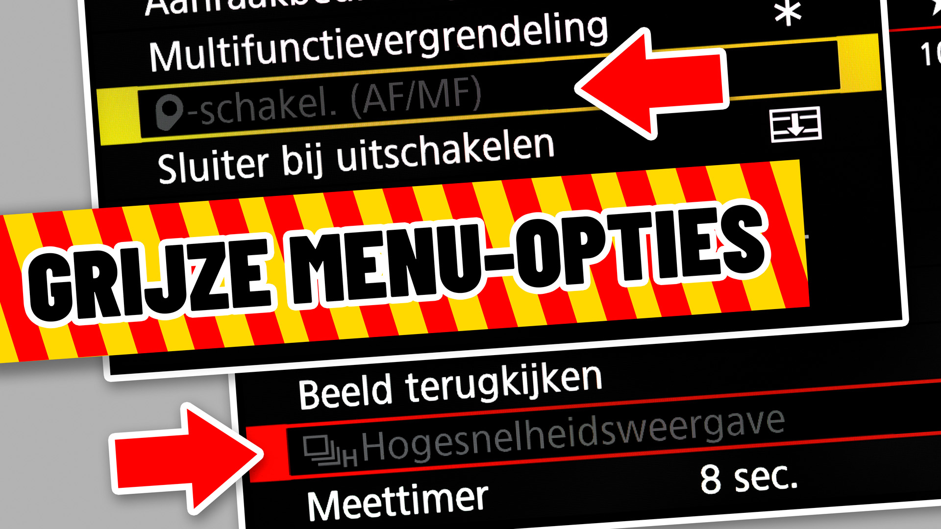 Grijze menu-opties visual v2