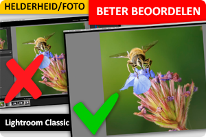 Lightroom Classic | Beter beoordelen foto en helderheid