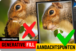 Lightroom Classic | Aandachtspunten Generative fill