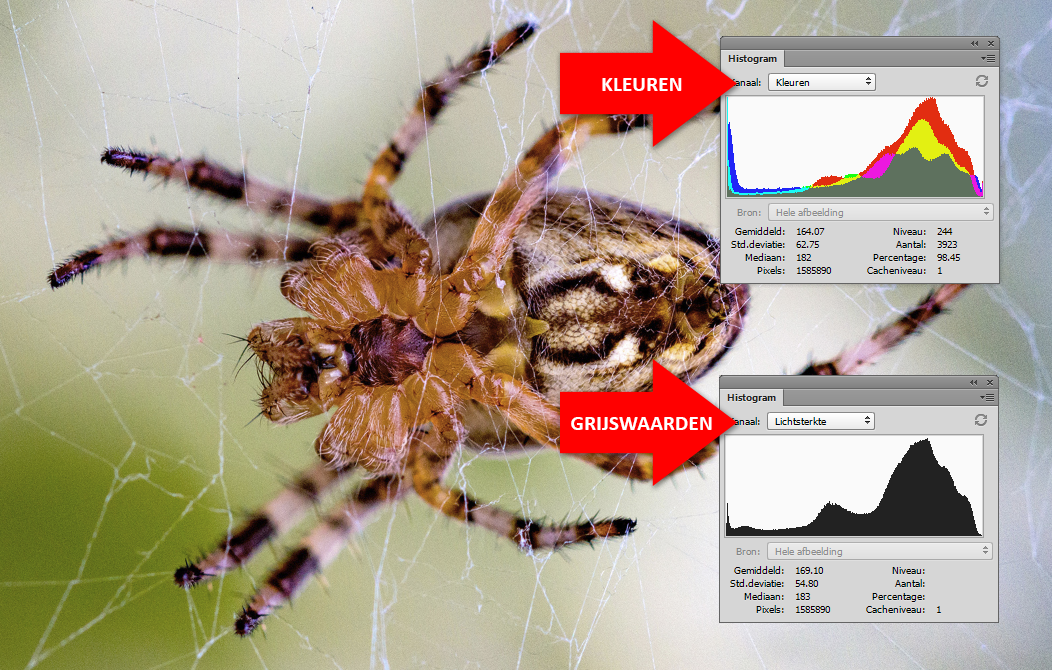 05_Histogram_kleuren