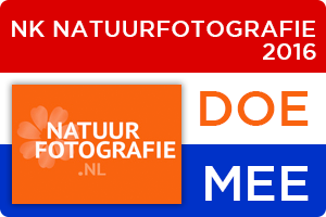 NK-natuurfotografie.png