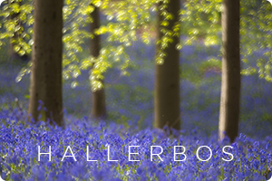 00_hallerbos2016.png